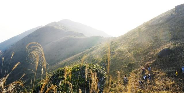 深圳大鹏湾旅游景点，深圳大鹏有哪些好玩的景点图17