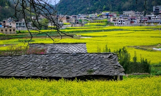 贵阳周边游玩景点推荐，贵阳周边值得去的景点图6