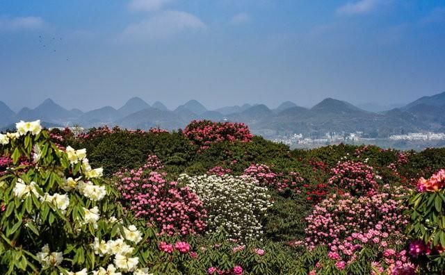 贵阳周边游玩景点推荐，贵阳周边值得去的景点图8