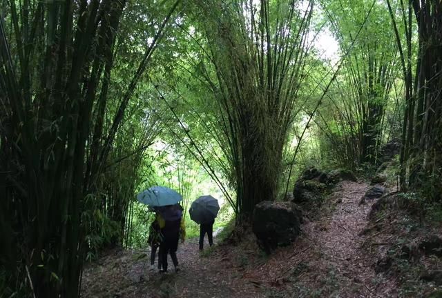 贵阳周边游玩景点推荐，贵阳周边值得去的景点图24