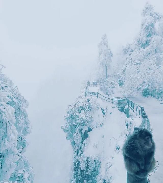 峨眉山风景区旅游攻略（两日游最全攻略）图11