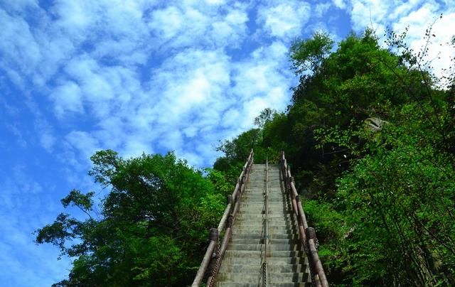 西安免费旅游景点大全，西安旅游景点大全介绍一下图24