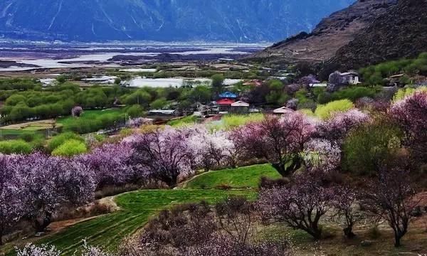 4月份适合旅游的地方，2月份适合旅行的地方图2