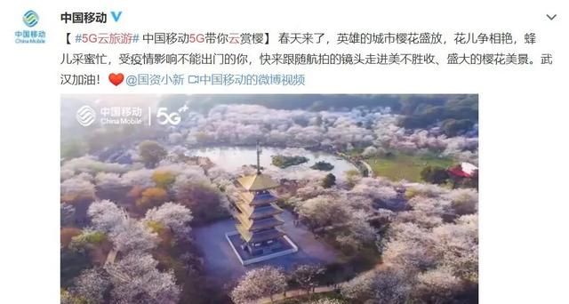 云旅游对实体旅游冲击大吗旅游业云创作是不是未来的发展的主要方向图2