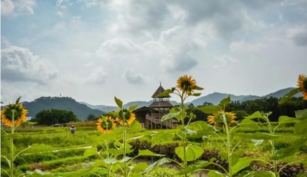 北京有哪些免费的旅游景点图21