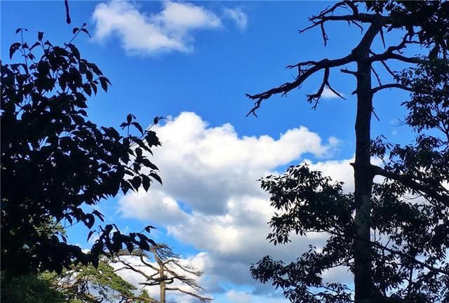 天目山的风景怎么样(杭州东天目山昭明寺)图2