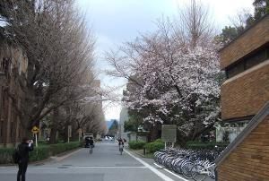 日本京都大学怎么样图1