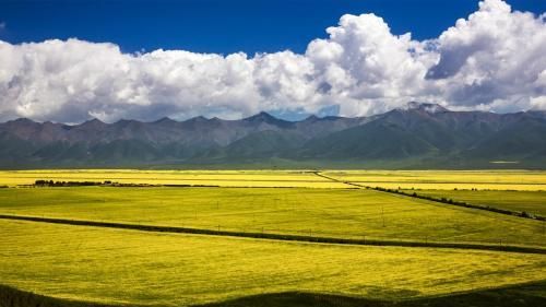 最美花海长什么样(最美花海景点推荐)图31