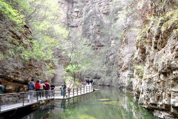 京东大峡谷老韩鱼家农家院图34